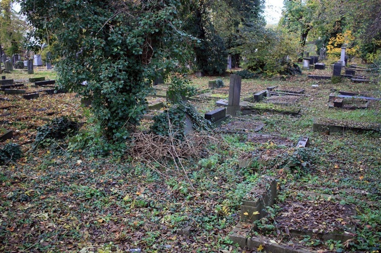 Cmentarz żydowski w Opolu