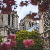 Przełom w Episkopacie Francji: liczy się Chrystus i ofiary, nie instytucja