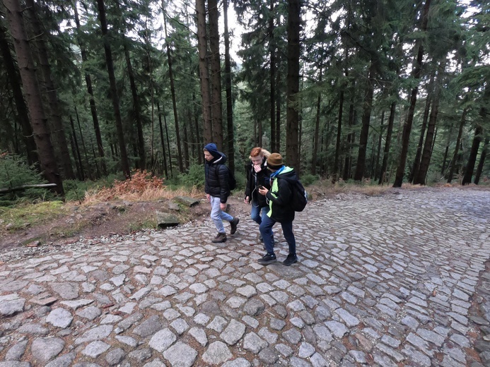 Z powołaniem w góry