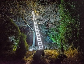 Spacer po Parku Iluminacji „Botaniczna Podróż” w Ogrodzie Botanicznym UMCS.
4.11.2021  Lublin