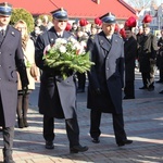 11 Listopada w Tarnobrzegu