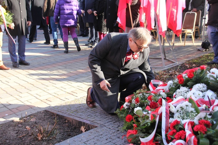 11 Listopada w Tarnobrzegu