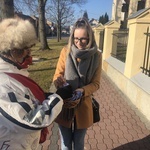 Rudnik nad Sanem. 103. rocznica zakończenia I wojny światowej