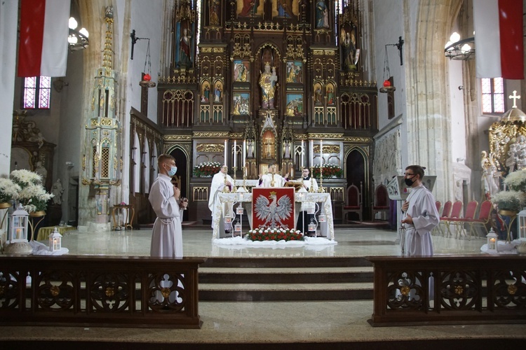 Święto Niepodległości w Strzegomiu