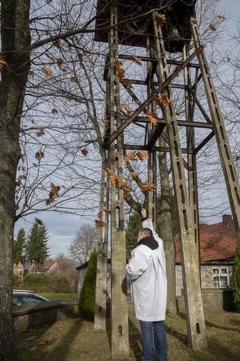 Świętowanie w Gwieździnie