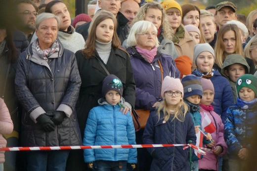 Święto Niepodległości w Bielsku-Białej - 2021