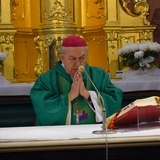 V Światowy Dzień Ubogich
