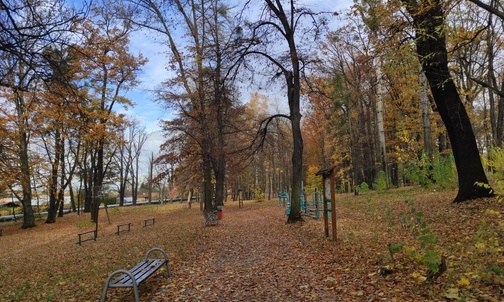Rybnik. Miasto nie zamierza zbierać liści w parkach. Ma być ekologicznie i ekonomicznie
