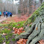 Pielgrzymka z Gorzowa do Dankowa