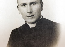 Śladami Hanika