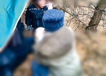 Koczujący w puszczy migranci.