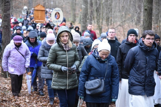 Śladami męczeństwa bł. Karoliny