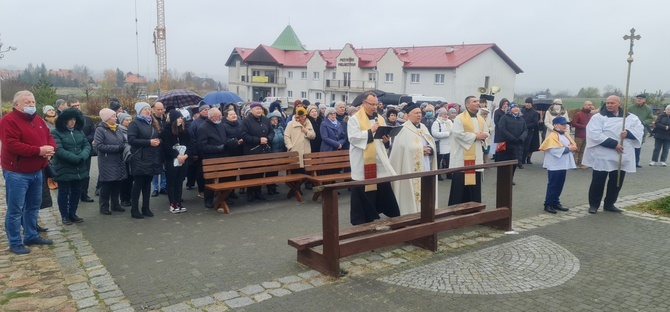 Niedziela Chrytusa Króla w Świebodzinie