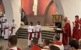 Ustanowienie animatorów liturgicznej służby ołtarza 