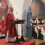 Ustanowienie animatorów liturgicznej służby ołtarza 