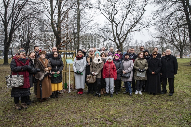 Drzewa powstańców warszawskich