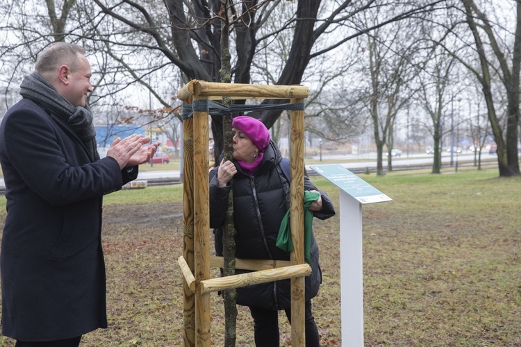 Drzewa powstańców warszawskich