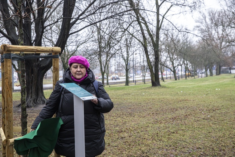 Drzewa powstańców warszawskich