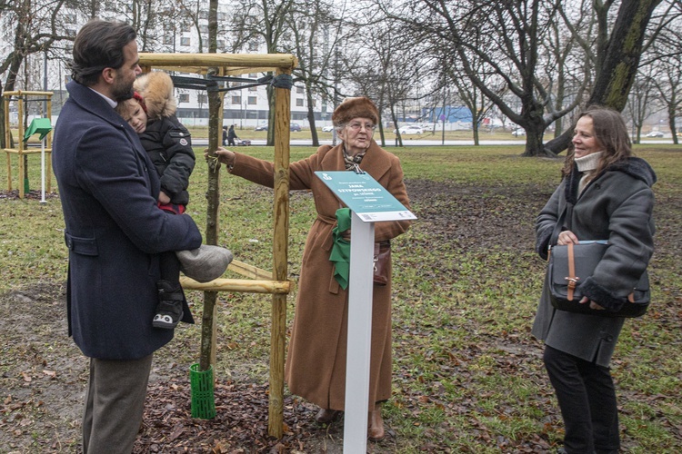 Drzewa powstańców warszawskich