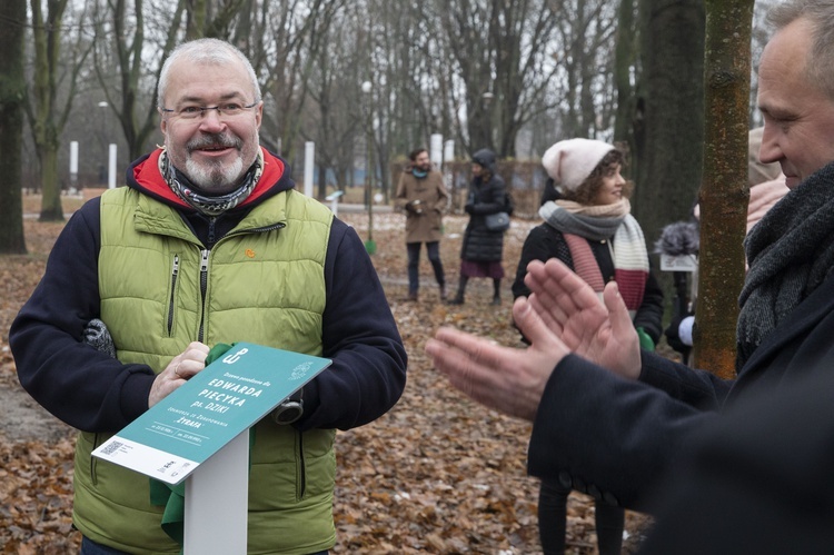 Drzewa powstańców warszawskich