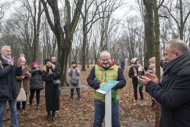 Drzewa powstańców warszawskich