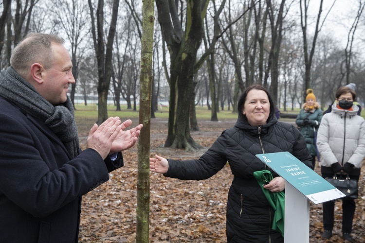 Drzewa powstańców warszawskich