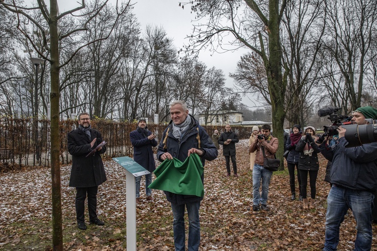 Drzewa powstańców warszawskich