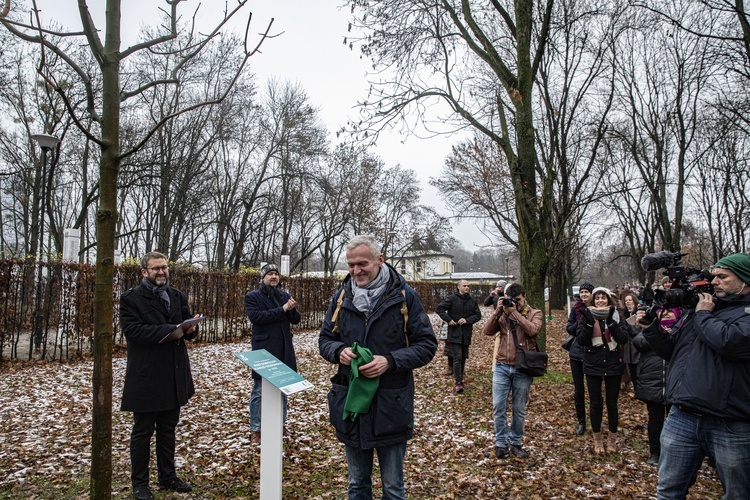 Drzewa powstańców warszawskich