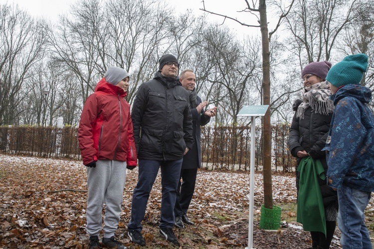 Drzewa powstańców warszawskich