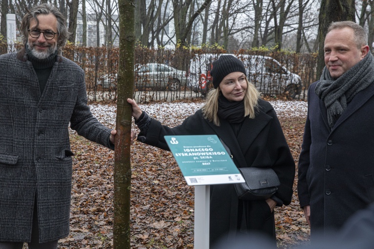 Drzewa powstańców warszawskich