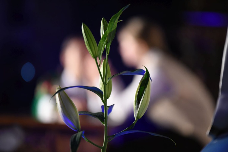 Misterium o bł. Karolinie w Jadownikach