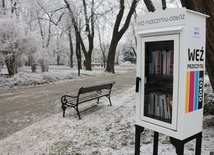 Dwie takie biblioteczki stanęły w parku im. Tadeusza Kościuszki.