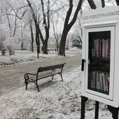 Dwie takie biblioteczki stanęły w parku im. Tadeusza Kościuszki.