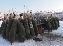 Dla Agaty tylko w grudniu zorganizowano ponad 10 wydarzeń i zbiórek. Wśród nich – rozdawanie choinek.