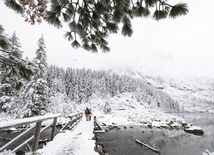 Wracali przemienieni