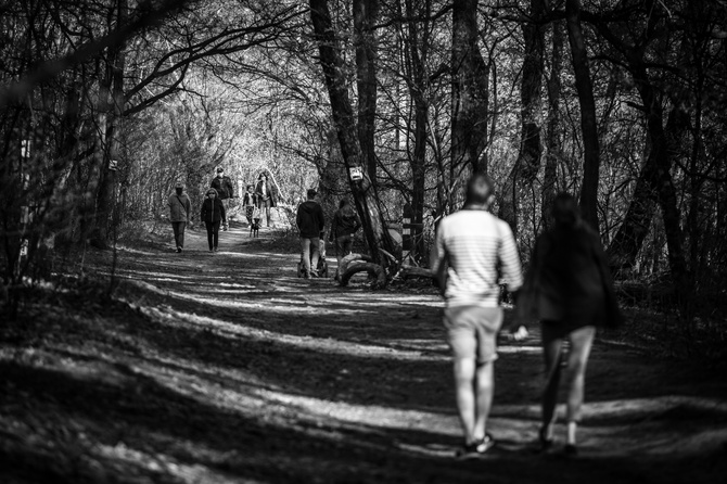 Życie codzienne w pandemii - galeria