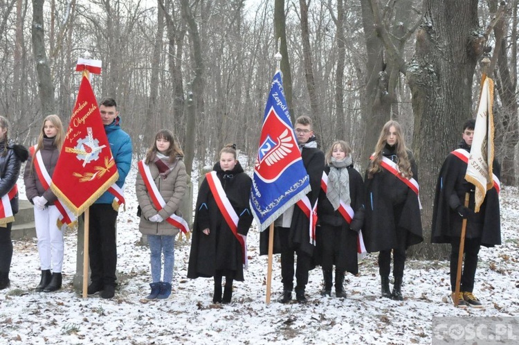 Wiechlice. Obchody nowego święta państwowego