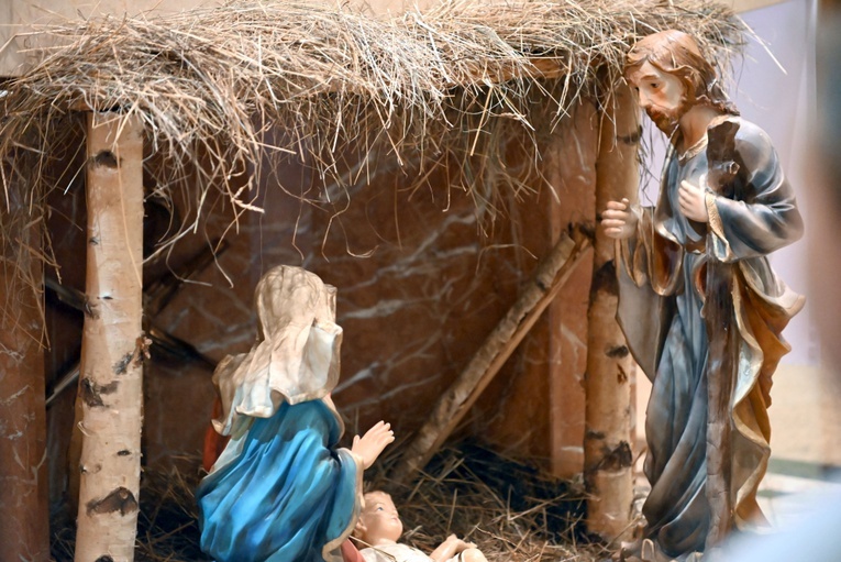 Święto Duszpasterstwa Rodzin w Świdnicy