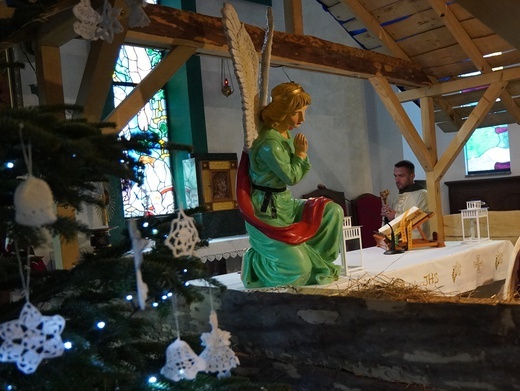 Franciszkańscy męczennicy w Brzegu Dolnym