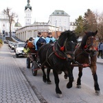 Orszak Trzech Króli w Tuchowie