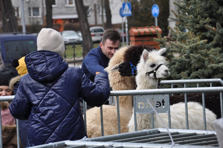 Orszak Trzech Króli 2022 w Oleśnicy