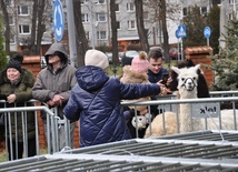 Orszak Trzech Króli 2022 w Oleśnicy