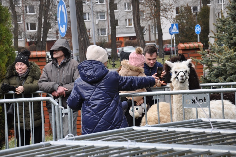 Orszak Trzech Króli 2022 w Oleśnicy