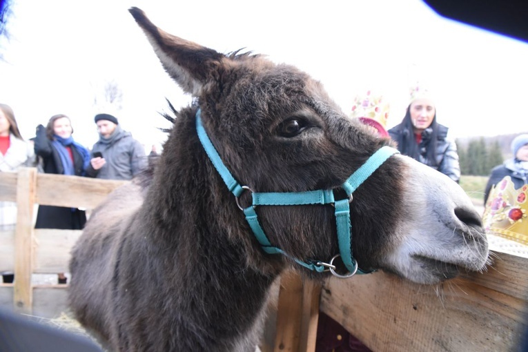 Jazowsko. Orszak 2022 