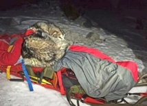 Turystę z Chorwacji uratował w górach jego pies