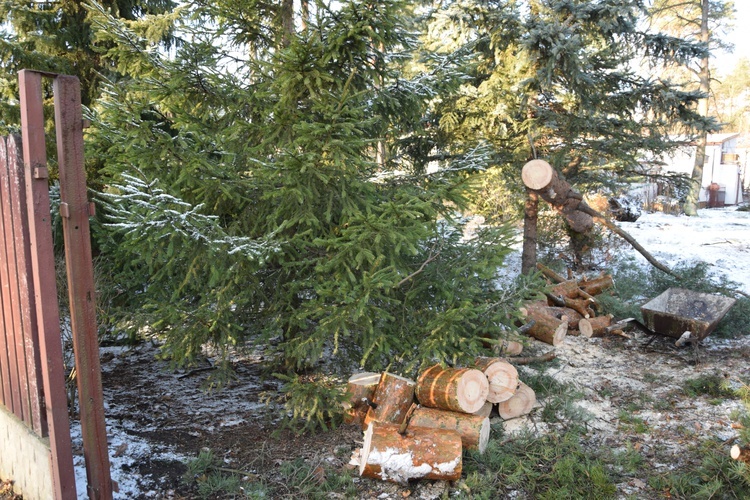 Nawałnica w Międzyborowie