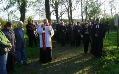 Brak tytułu