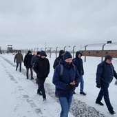 Zalasowanie w Auschwitz