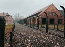 77 lat temu Armia Czerwona wyzwoliła niemiecki obóz Auschwitz