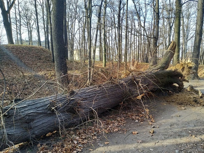 Wichura zerwała poszycie dachowe katedry. Są też inne zniszczenia